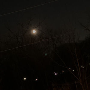 Meet your Posher, Marlen